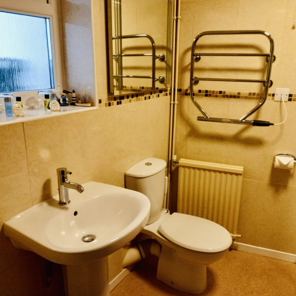 Toilet in the Quayside Apartment, Brixham next to the Quayside Hotel, Near Torquay, Torbay, South Devon, England