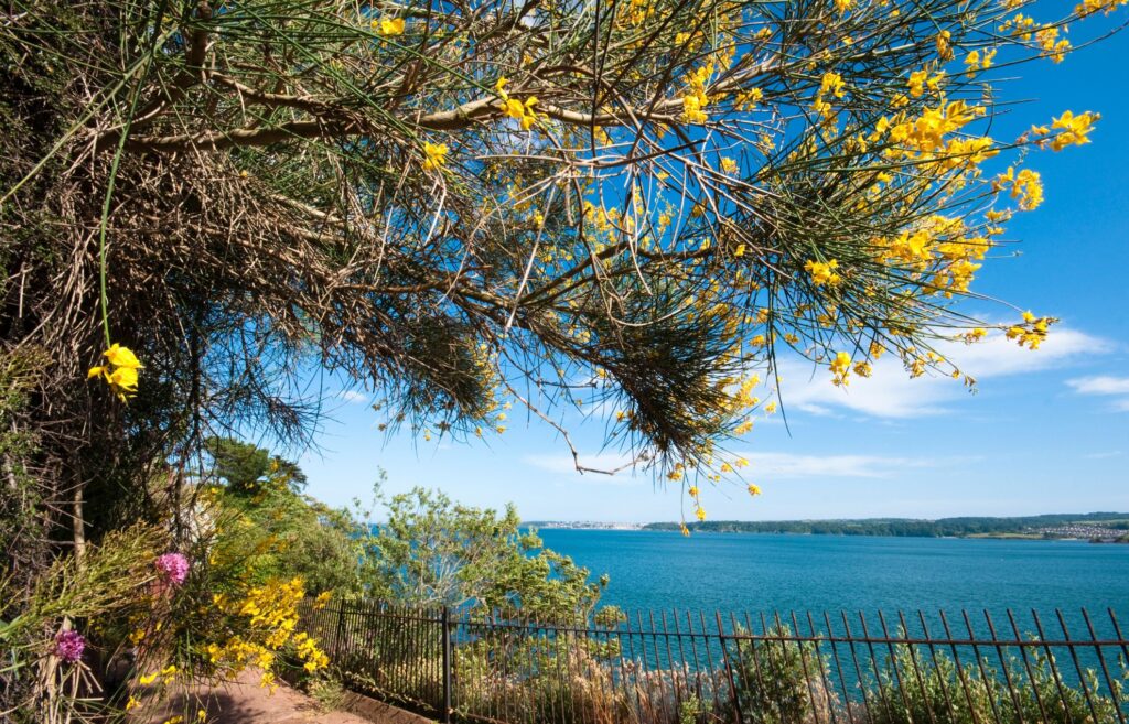 Coastal walks in Torquay - Best things to do in Torquay when staying at the Quayside Hotel