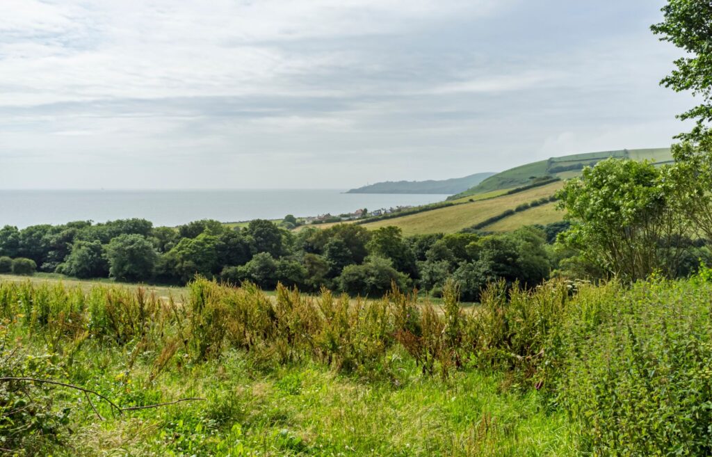 Coastal walk in Beesands