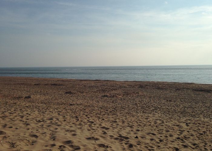 Beaches in Exmouth