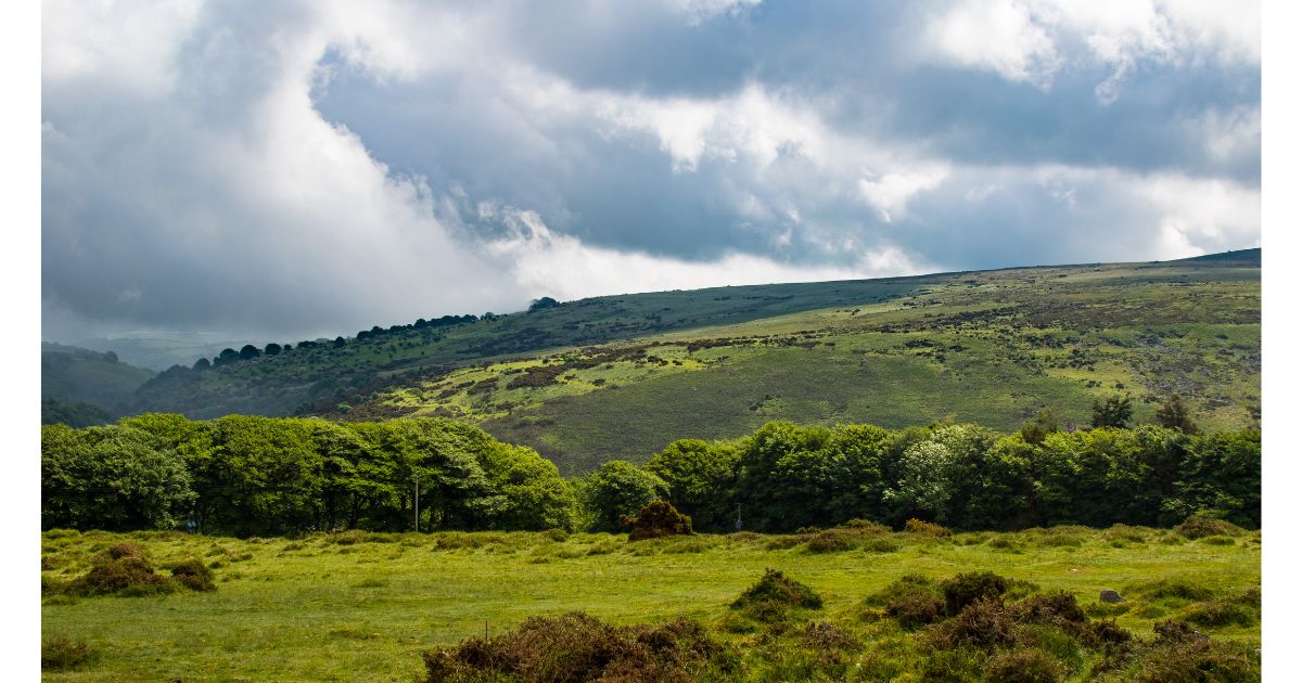 Dartmoor National Park near Chudleigh