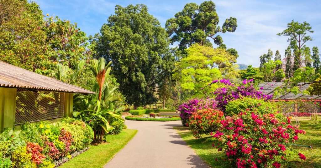 Best garden in South Devon