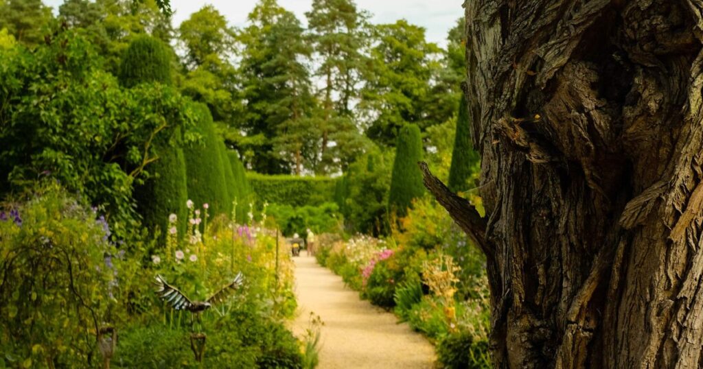 Coleton Fishacre garden in South Devon